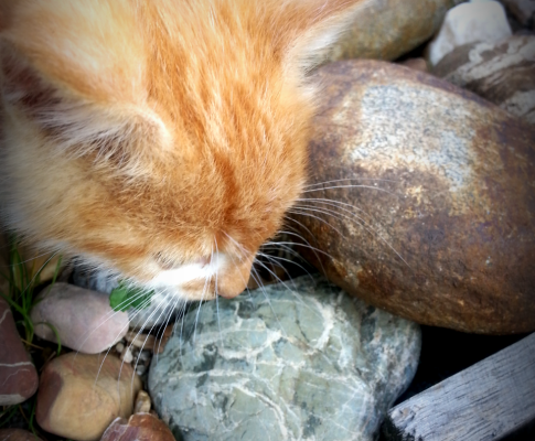 Thirsty