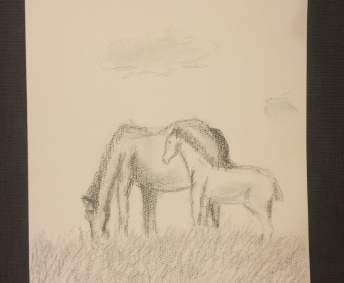 A Mother with her Foal