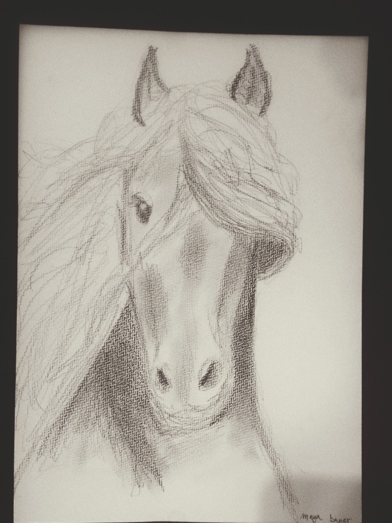 Horse head