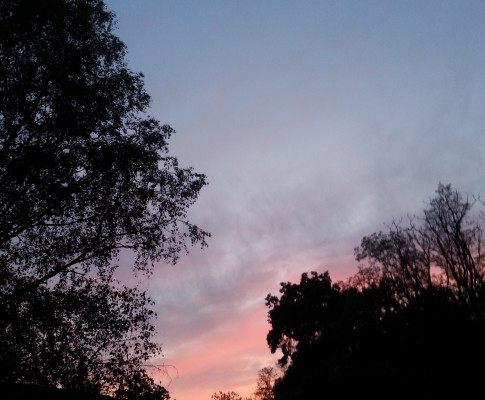 Skies at Dawn